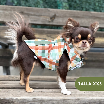 Chubasquero Autumn Picnic