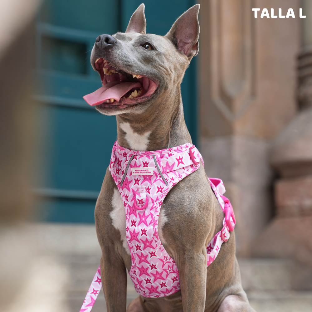 Trail-Hundegeschirr Farbenfrohe Blumen von Agatha Ruiz de la Prada