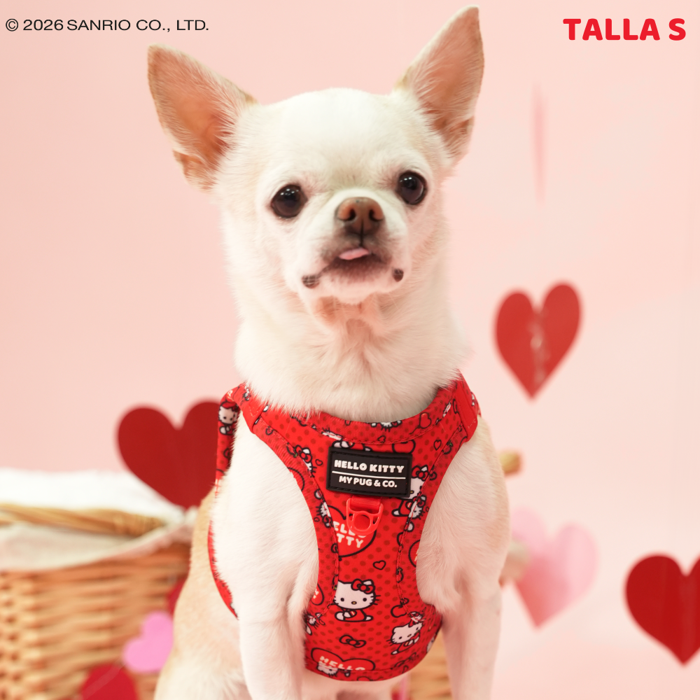 Arnés Body Hello Kitty Red