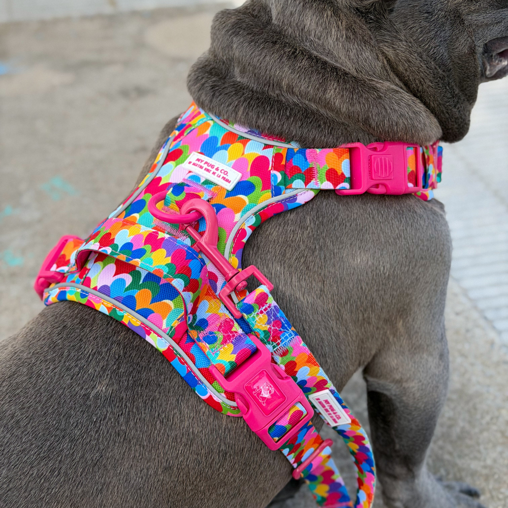 Hearts Trail Harness by Agatha Ruiz de la Prada