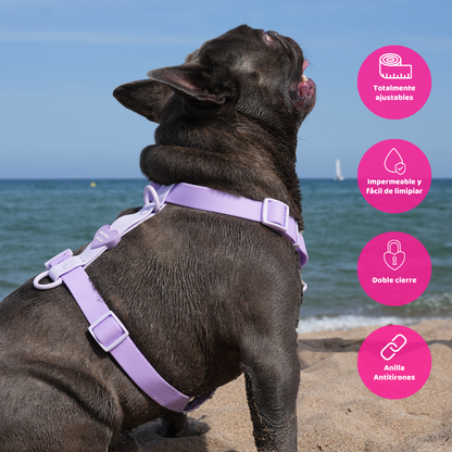 Arnés Ajustable Waterproof Lila