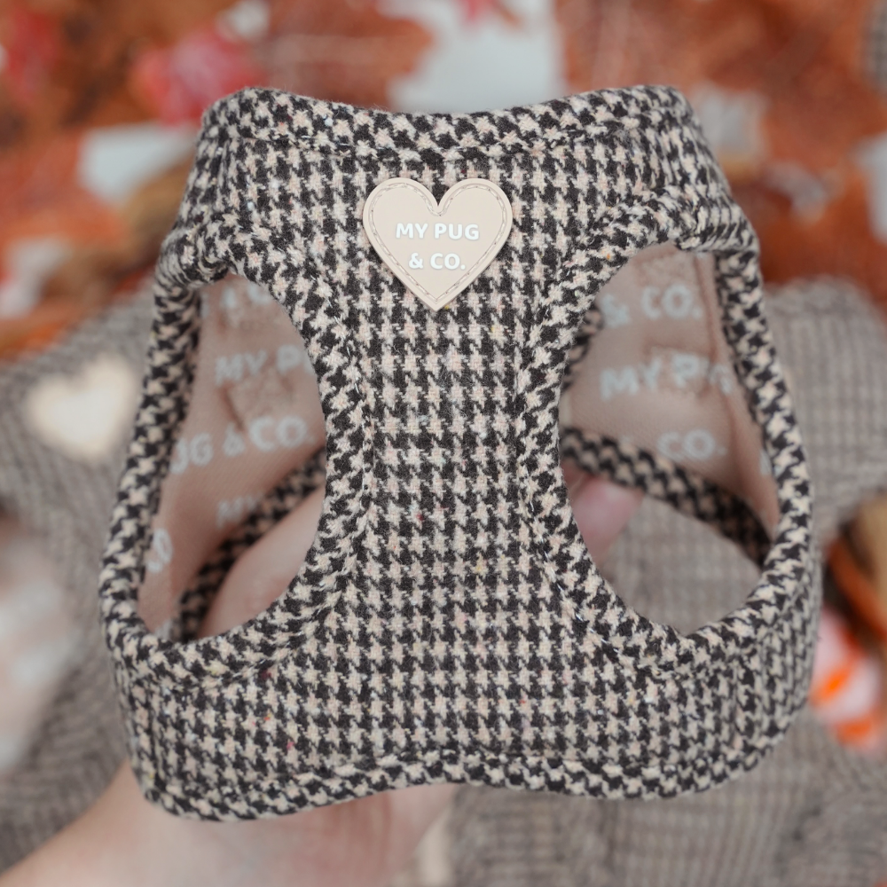 Arnés Body Pata de gallo