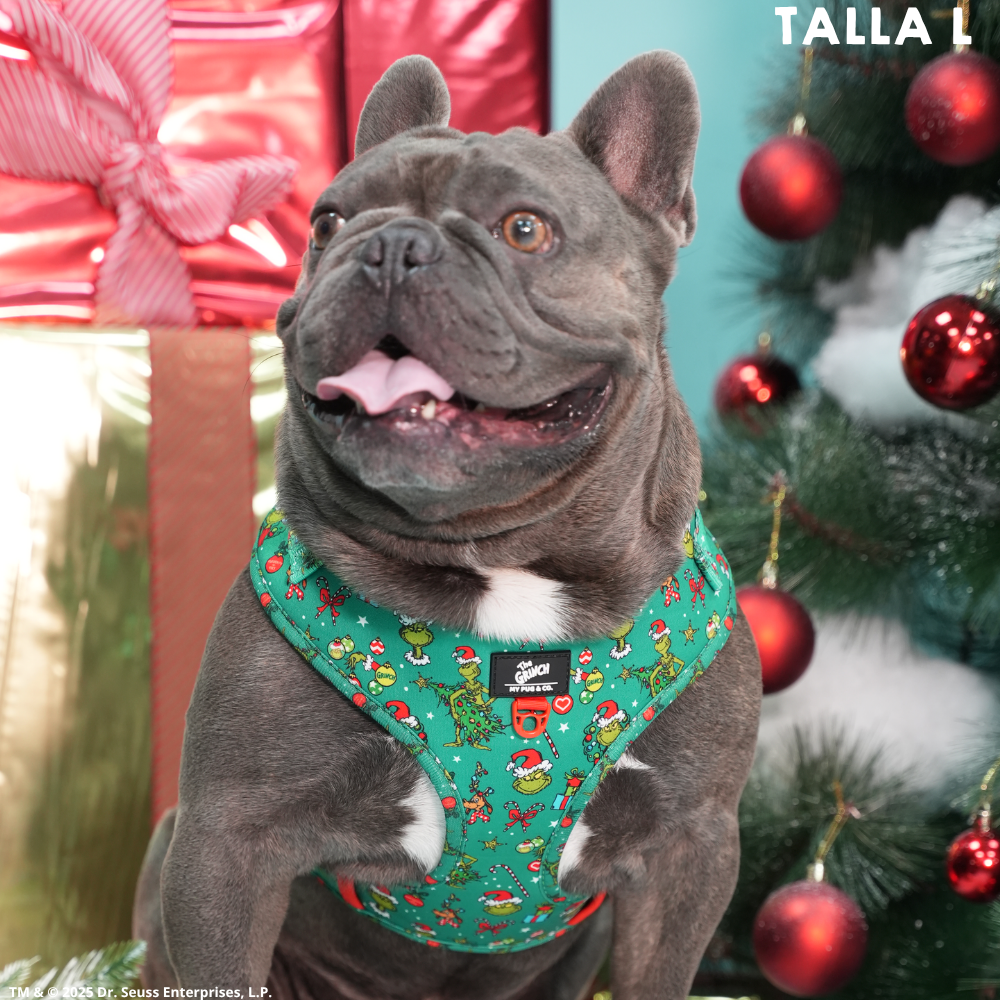 Arnés Ajustable The Grinch Verde