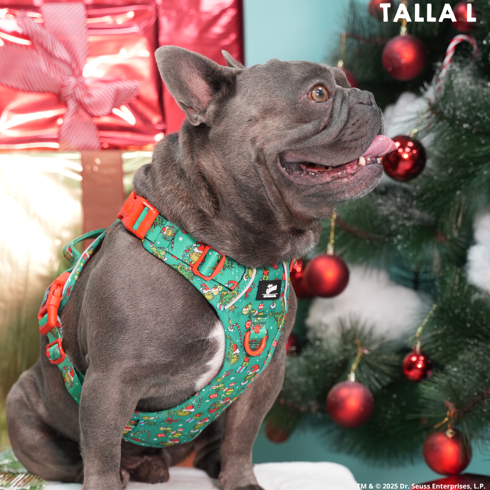 Arnés Todoterreno The Grinch Verde