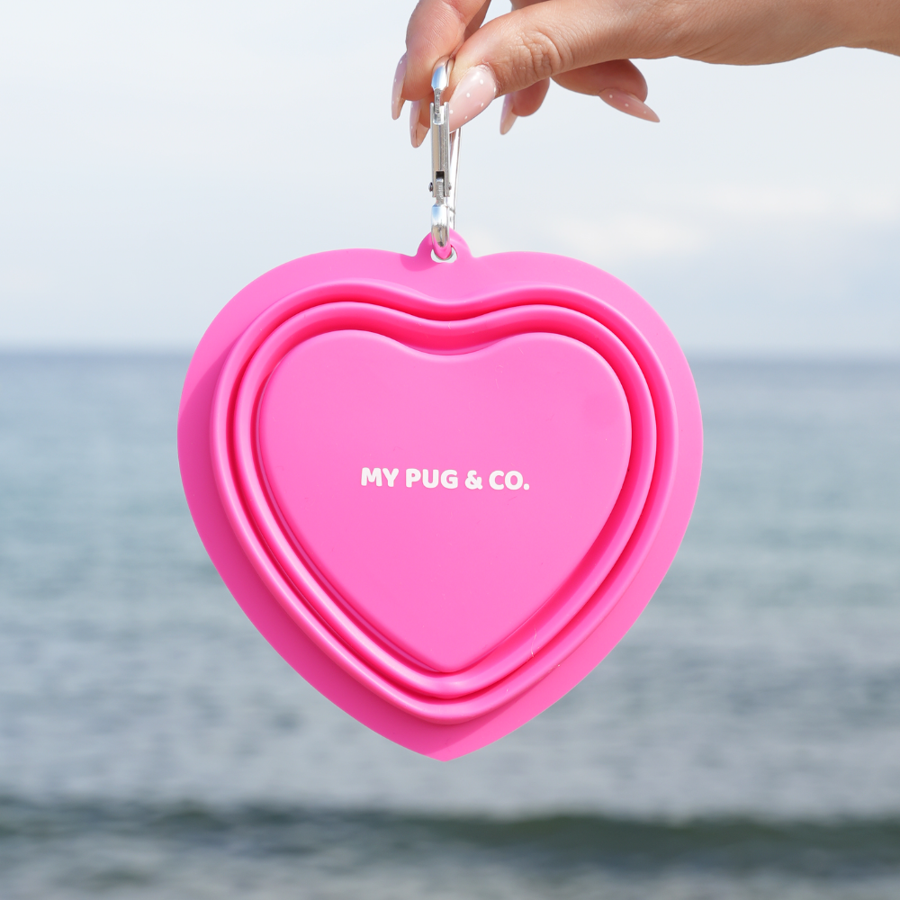 Pink Foldable Drinking Fountain