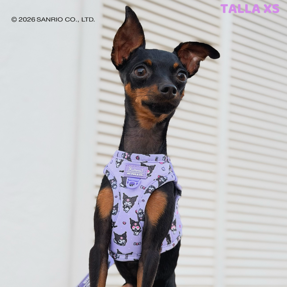 Step-in Hundegeschirr von Kuromi
