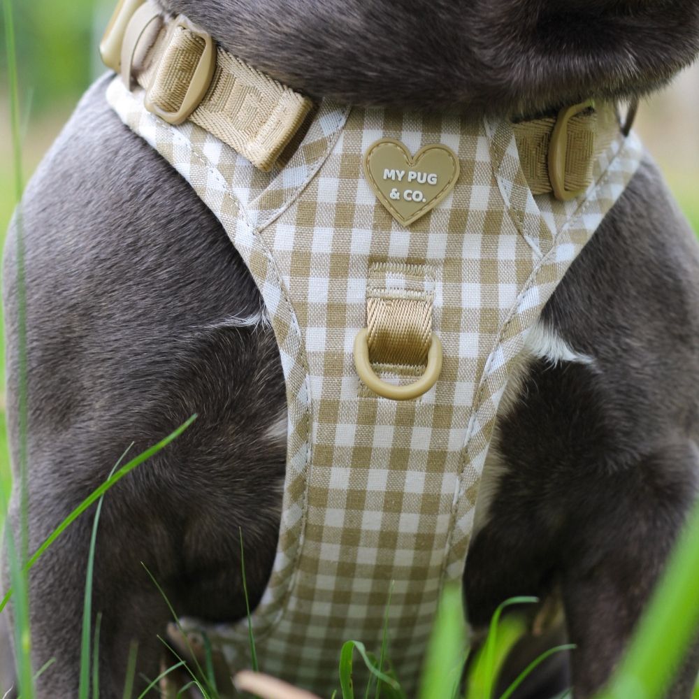 Arnés todoterreno Vichy para perros de My Pug & Co