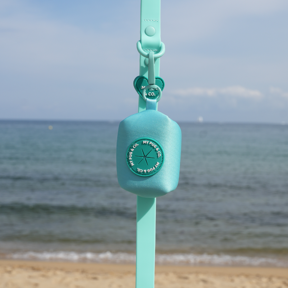 Porta Bolsas Turquesa - Verde