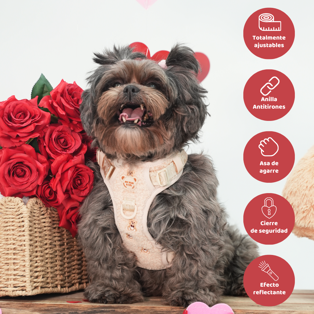 Arnés Todoterreno Teddy