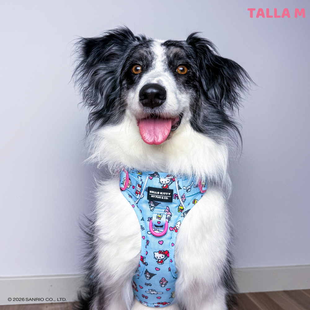 Trail harness by Hello Kitty and Friends
