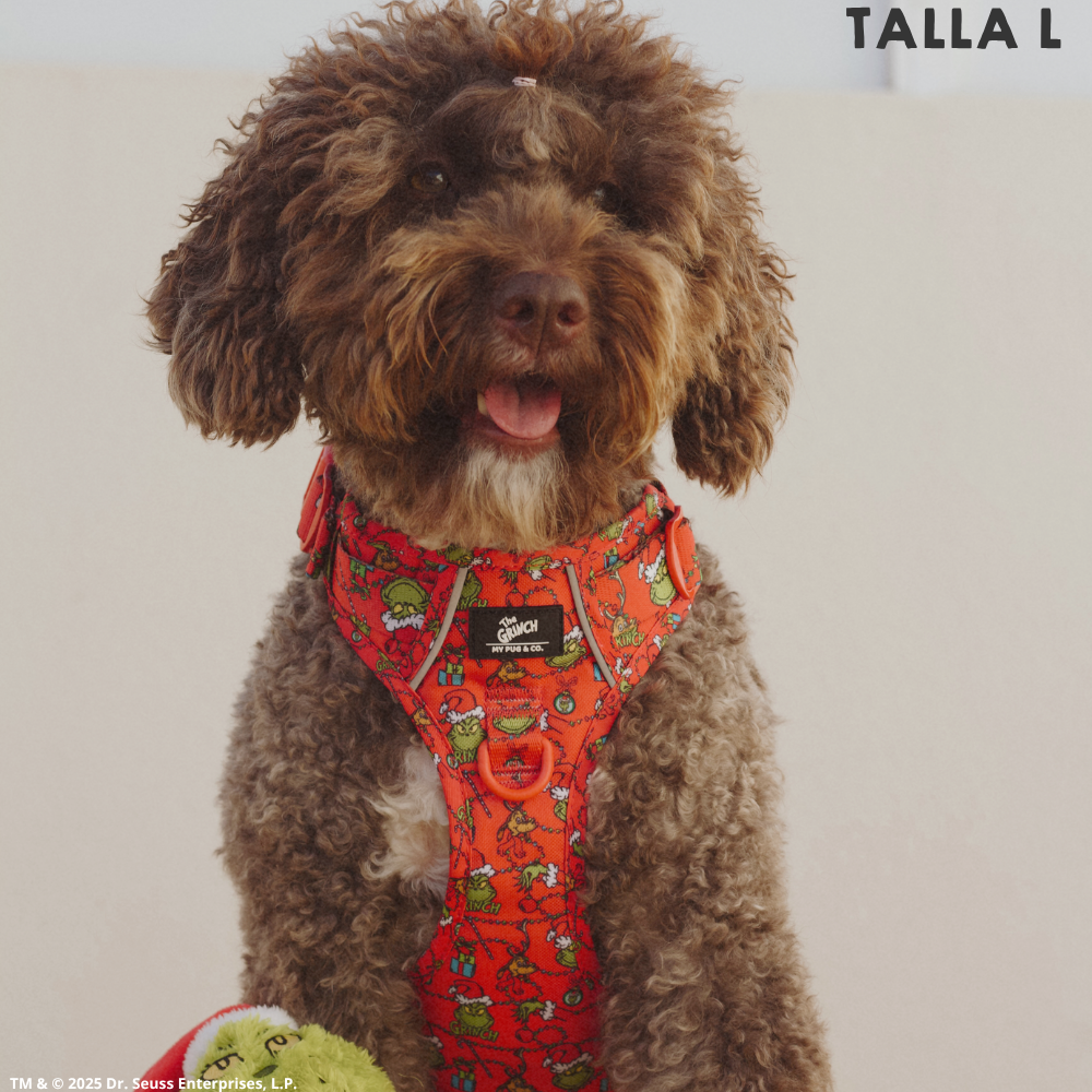 Arnés Todoterreno The Grinch Rojo