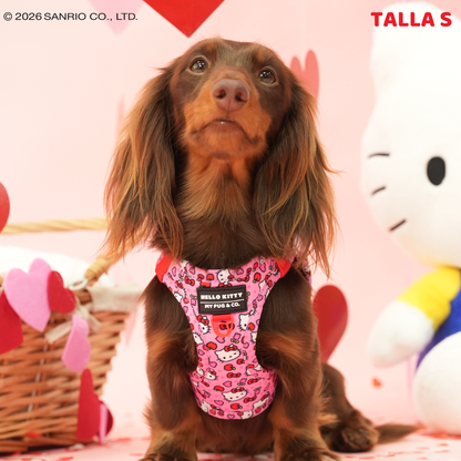 Arnés Body Hello Kitty Pink