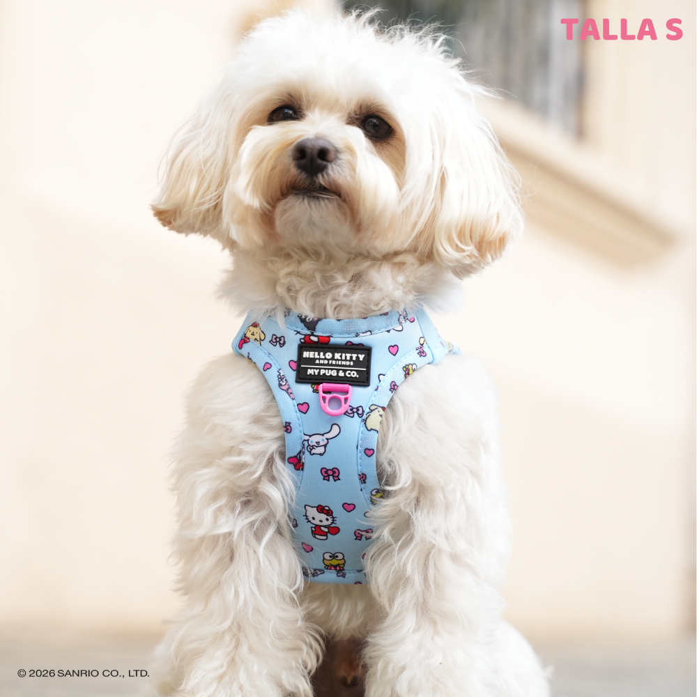 Step-in Hundegeschirr von Hello Kitty and Friends