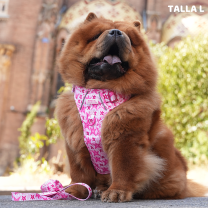 Trail-Hundegeschirr Farbenfrohe Blumen von Agatha Ruiz de la Prada