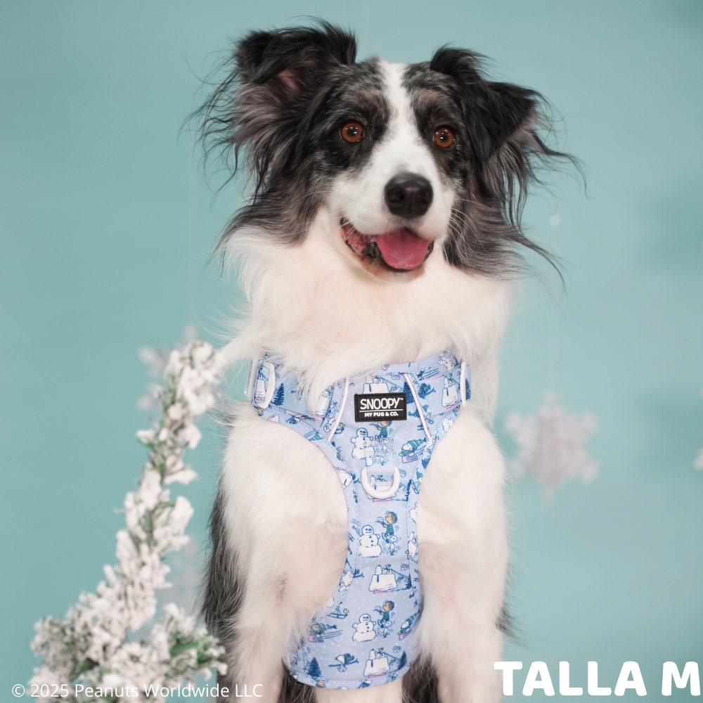 Arnés Todoterreno Snoopy™️ Snow