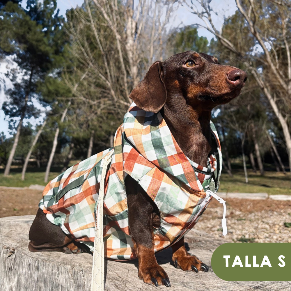 Chubasquero Autumn Picnic