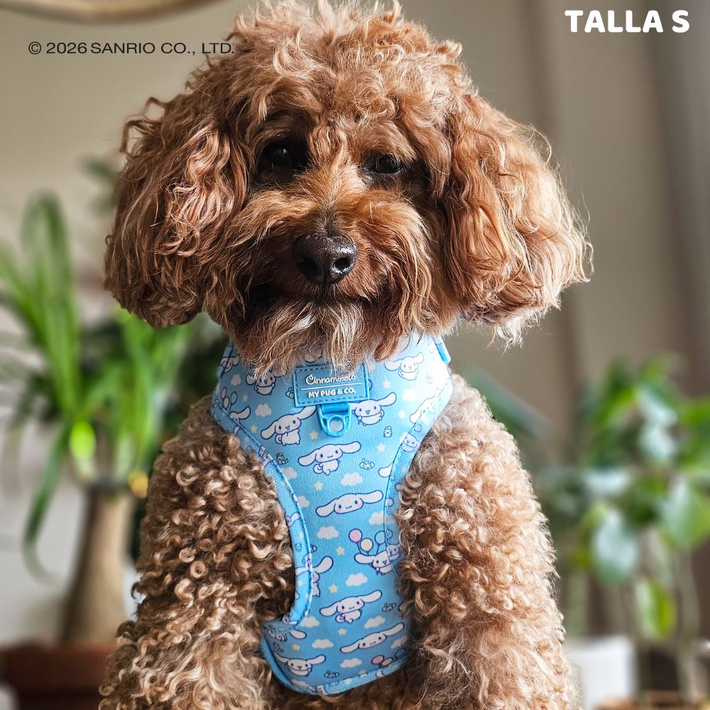 Verstellbares Hundegeschirr von Cinnamoroll