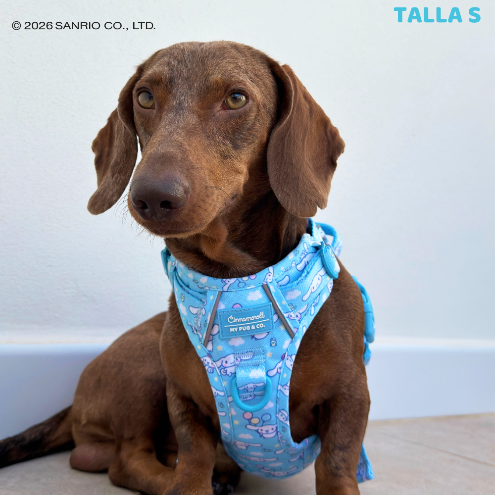 Trail-Hundegeschirr von Cinnamoroll