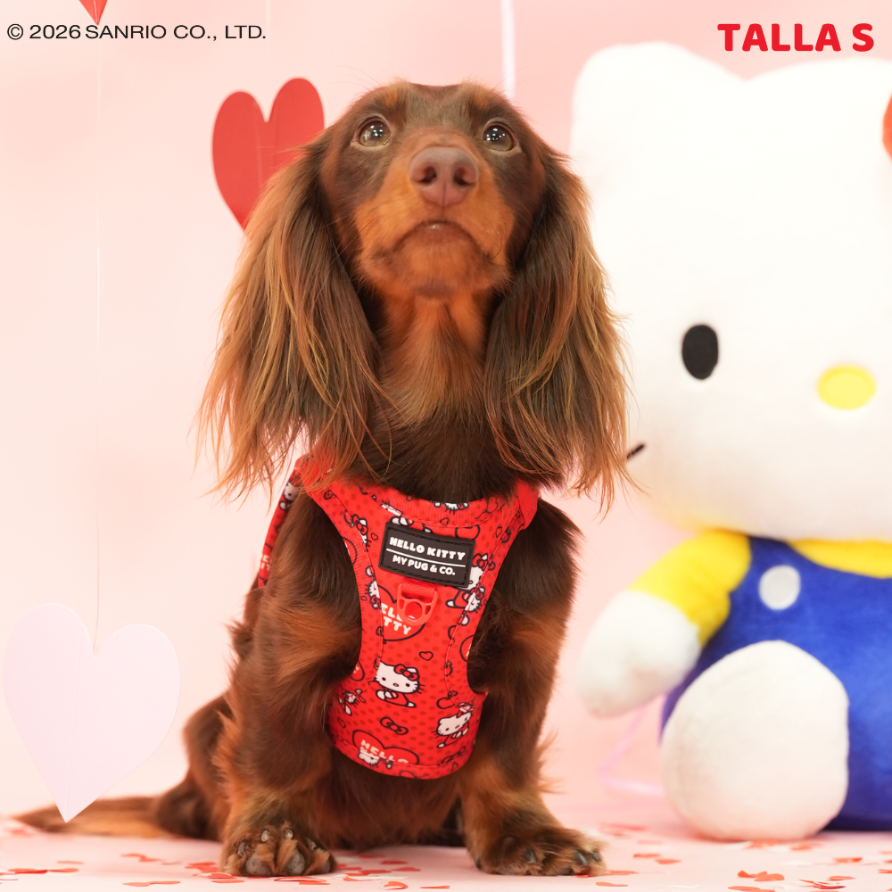 Arnés Body Hello Kitty Red