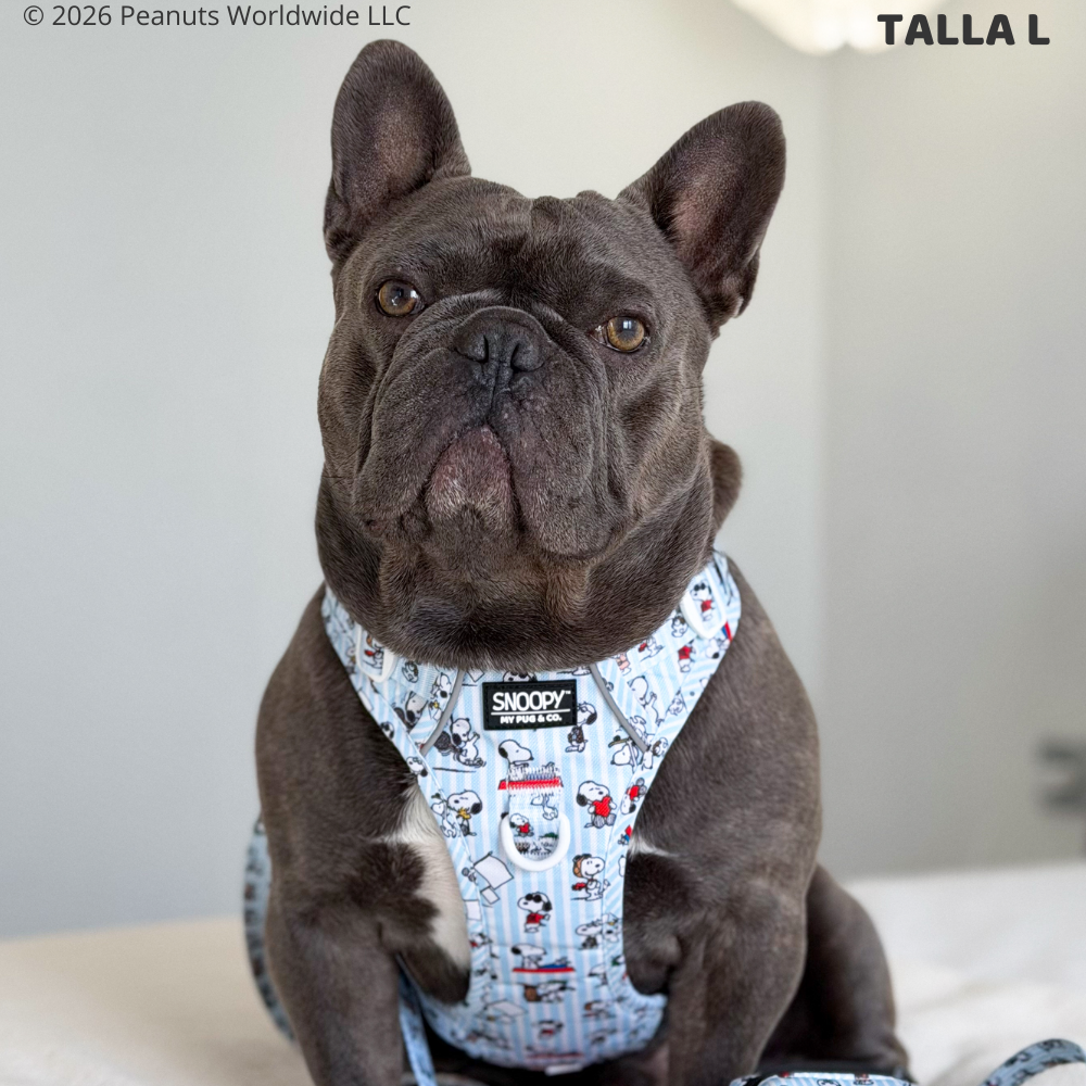 Trail-Hundegeschirr Many Faces von Snoopy™️