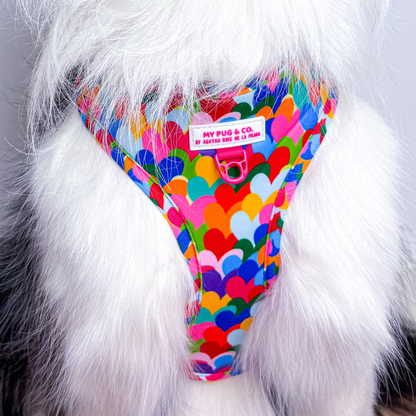 Arnés Ajustable Corazones Pop by Agatha Ruiz de la Prada