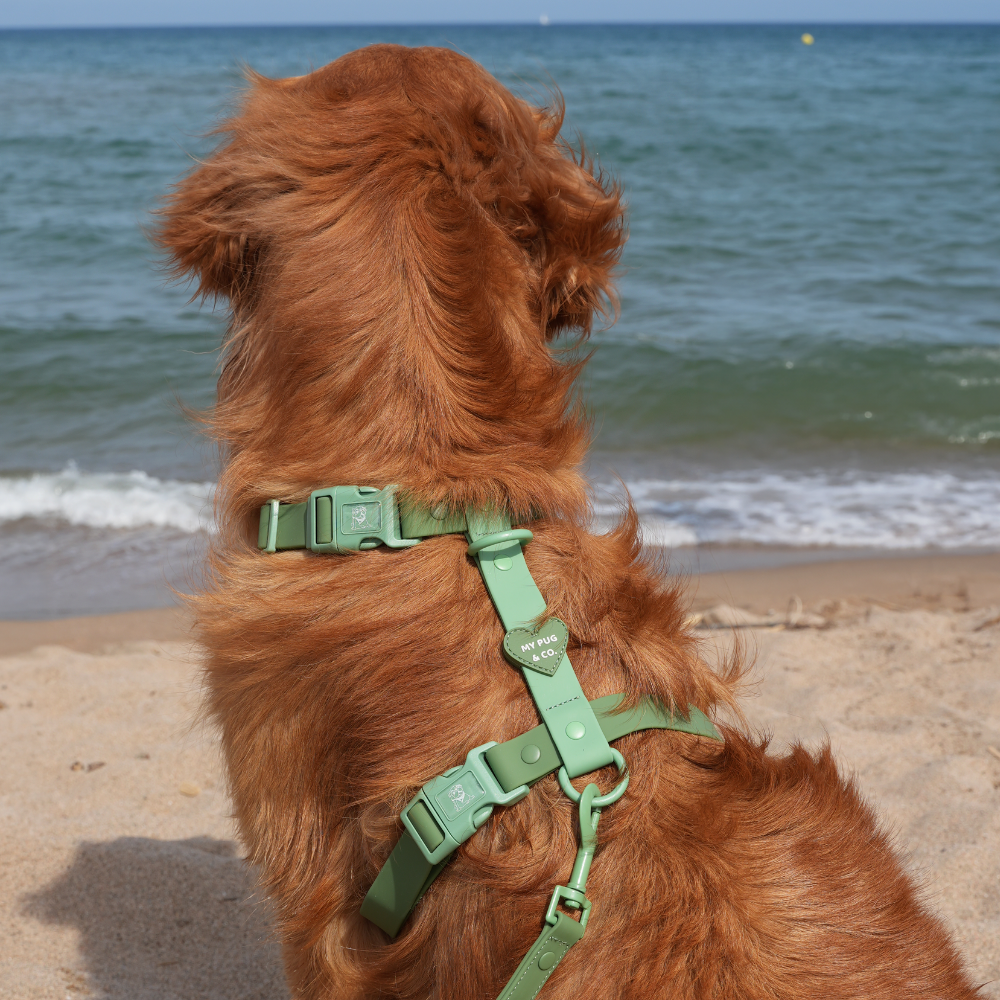 Arnés Ajustable Waterproof Verde