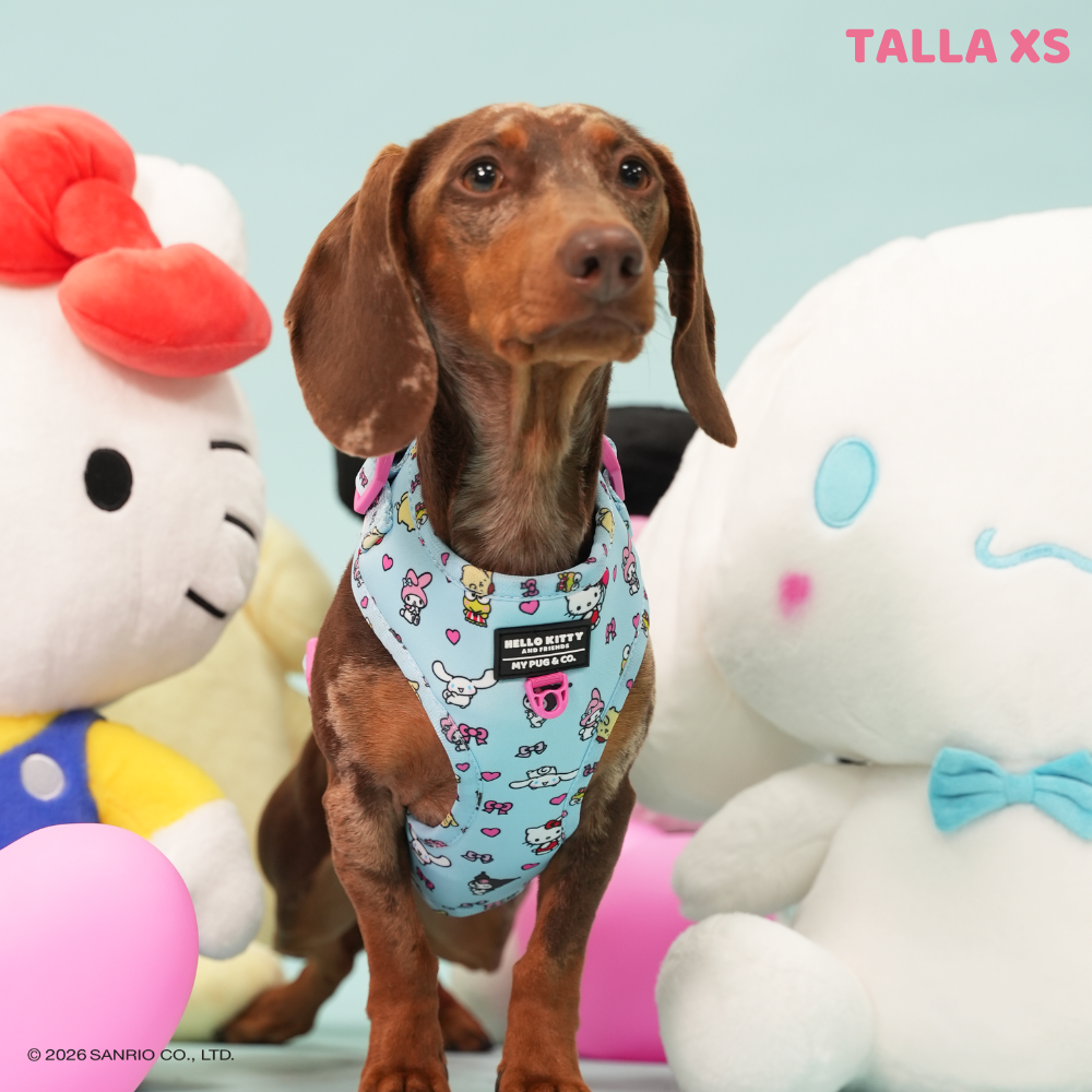 Verstellbares Hundegeschirr Hello Kitty and Friends