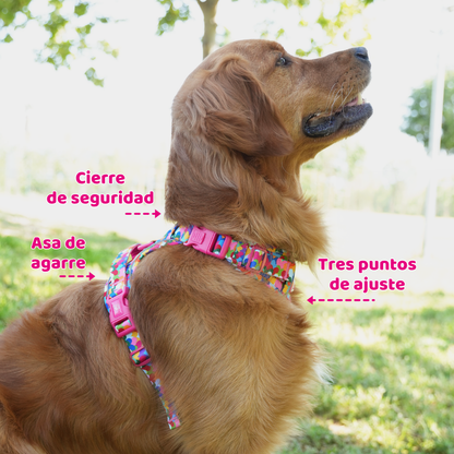 Hearts Trail Harness by Agatha Ruiz de la Prada