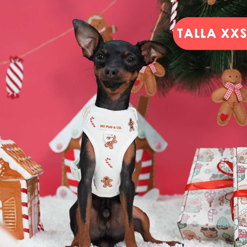 Arnés Ajustable Gingerbread