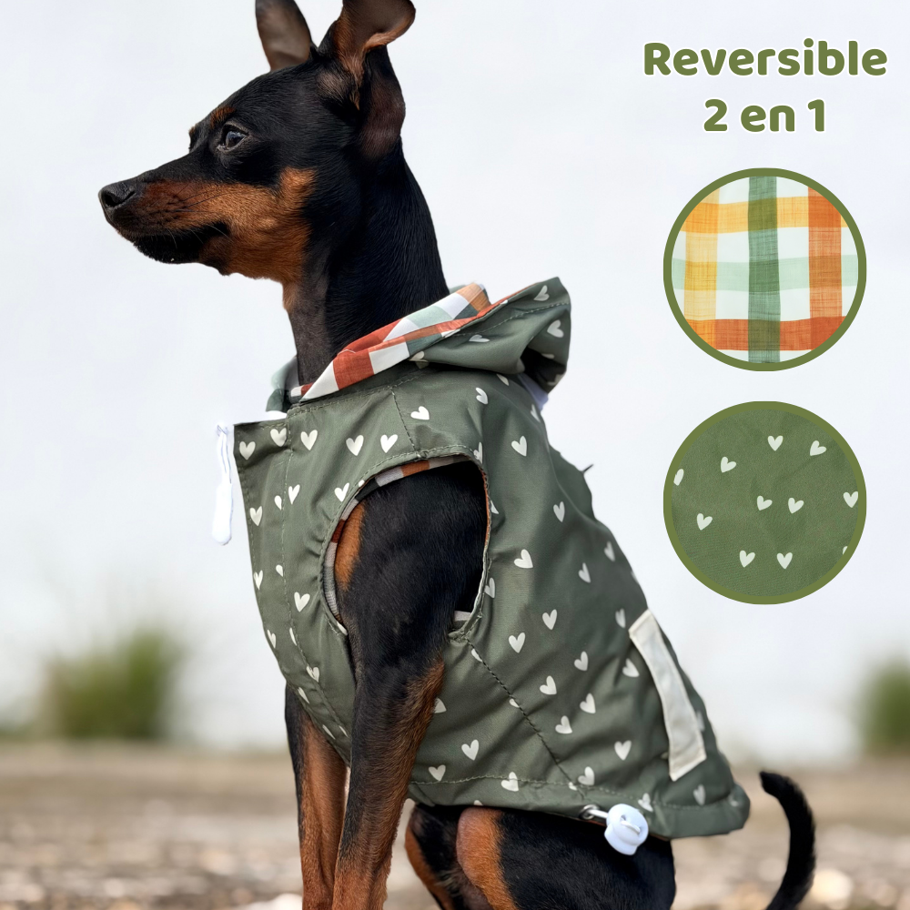 Chubasquero Autumn Picnic