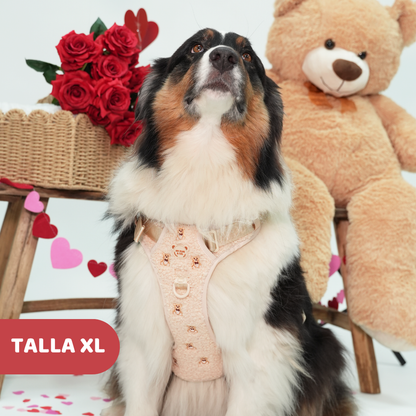 Arnés Todoterreno Teddy