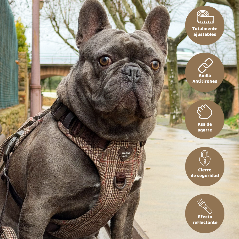 Arnés Todoterreno Tartán