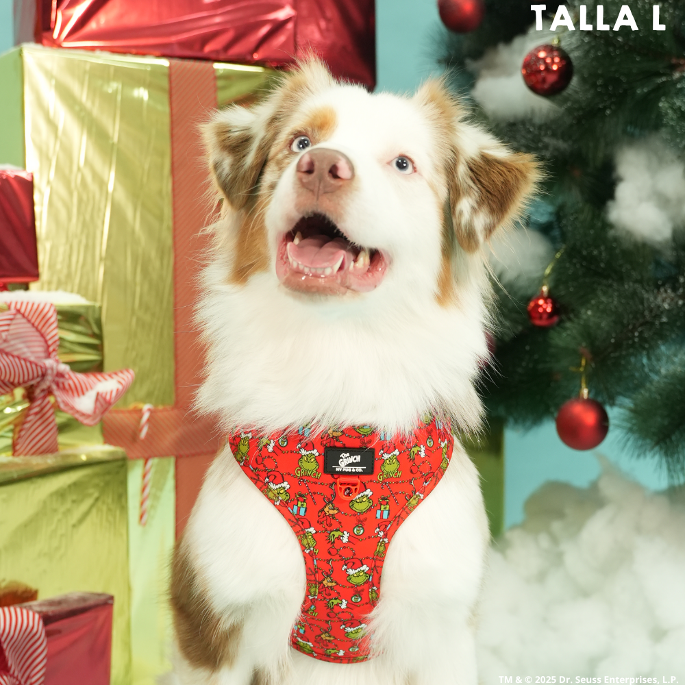 Arnés Ajustable The Grinch Rojo