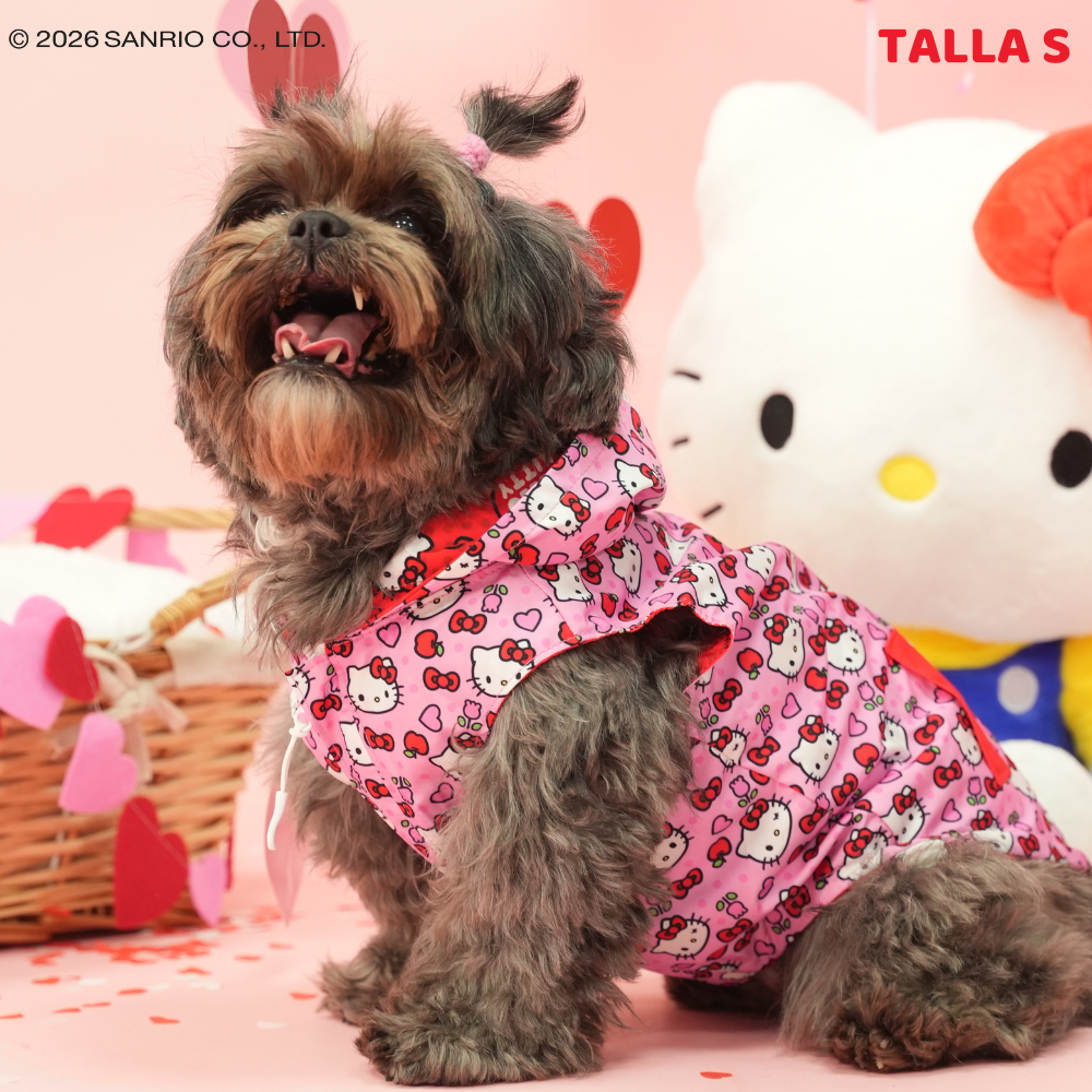 Chubasquero Hello Kitty