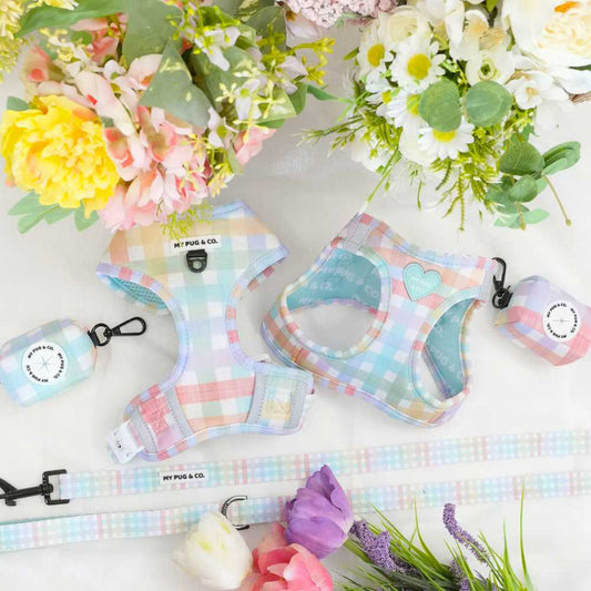 Pack Arnés Ajustable Spring Picnic