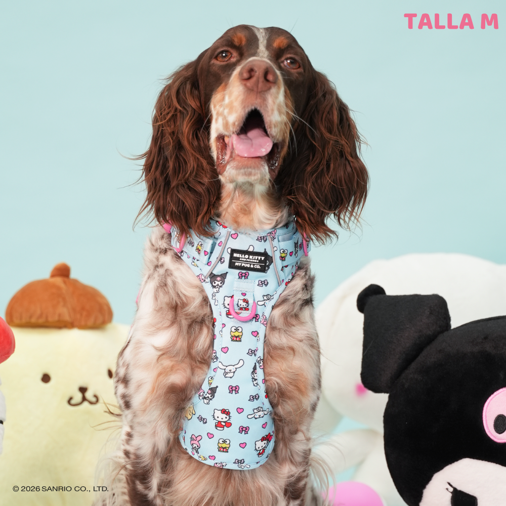 Trail harness by Hello Kitty and Friends