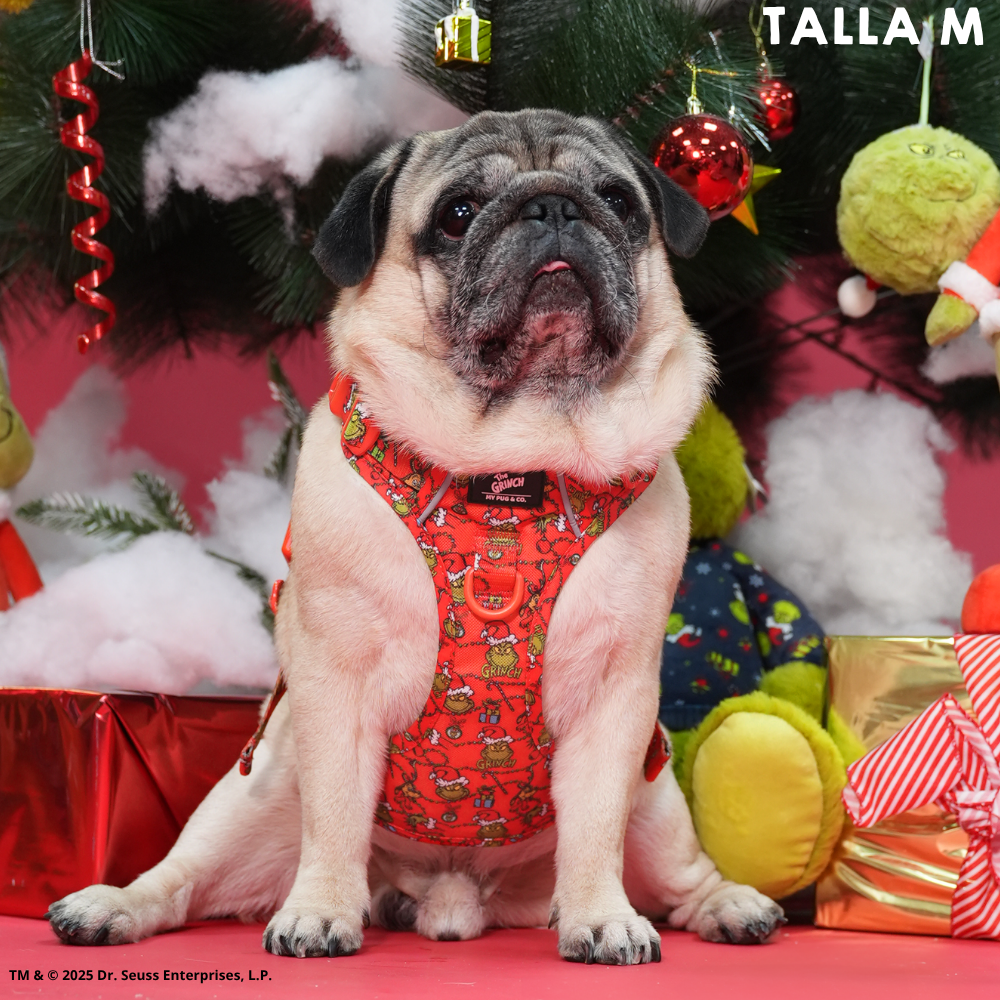 Arnés Todoterreno The Grinch Rojo