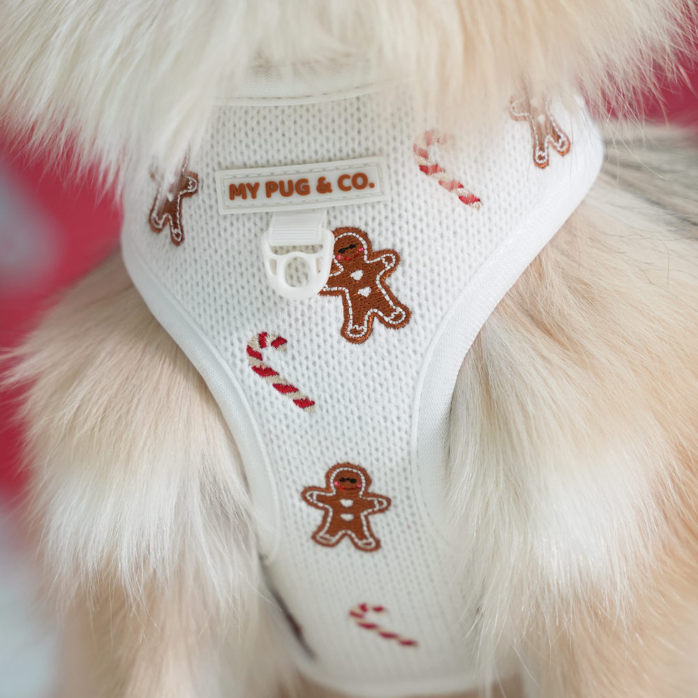 Arnés Ajustable Gingerbread