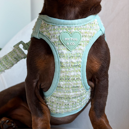 Arnés Body Mint Chic