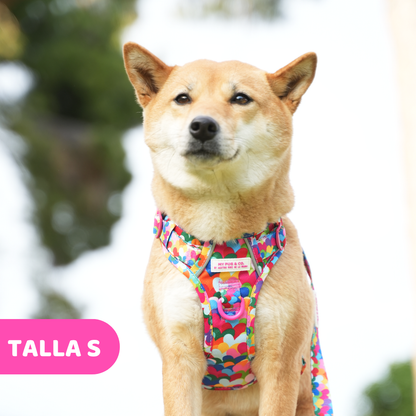 Hearts Trail Harness by Agatha Ruiz de la Prada