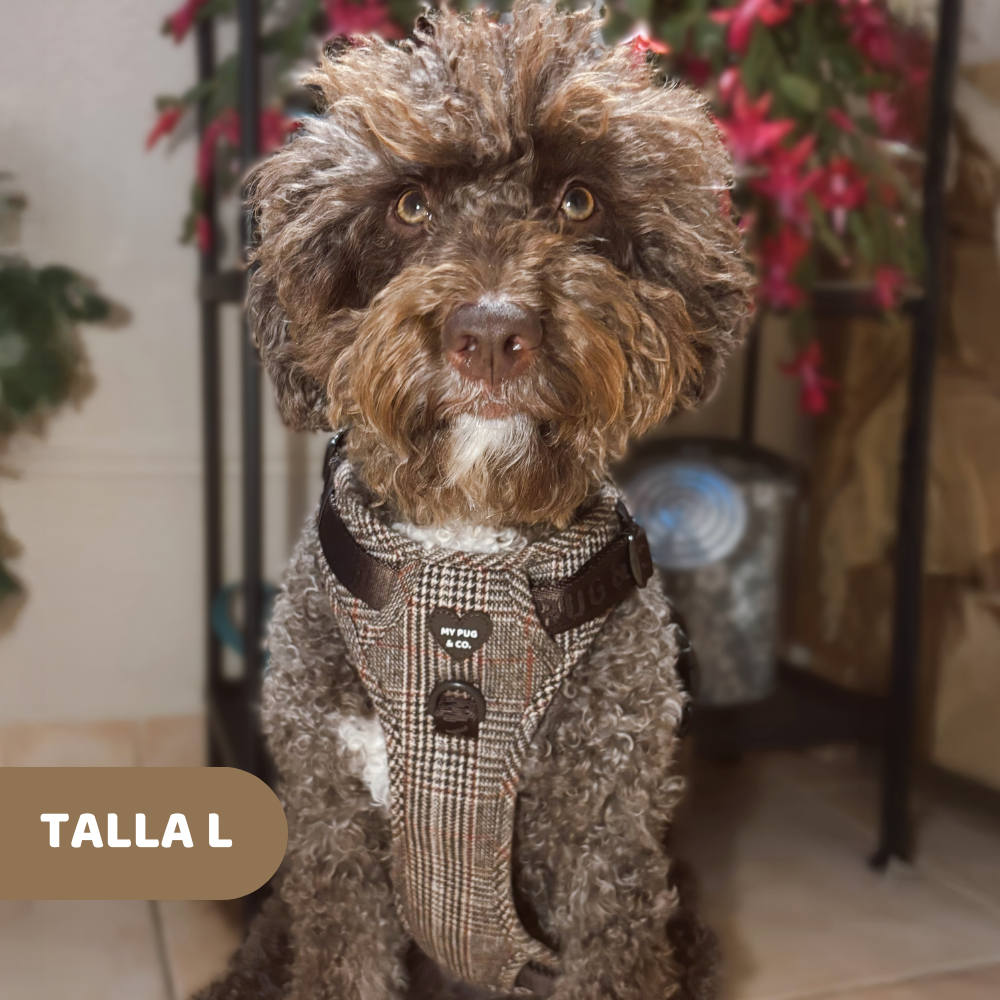 Arnés Todoterreno Tartán