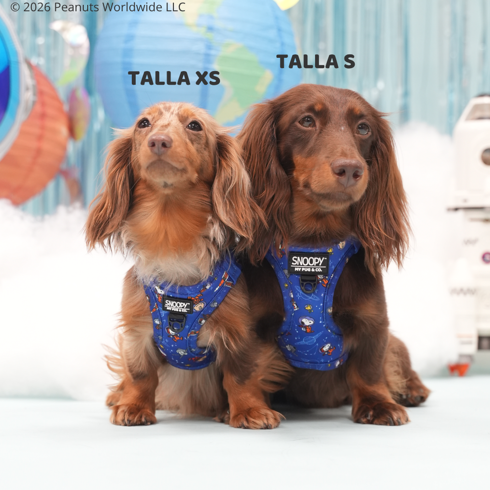 Space Step-in Harness Snoopy™️ 