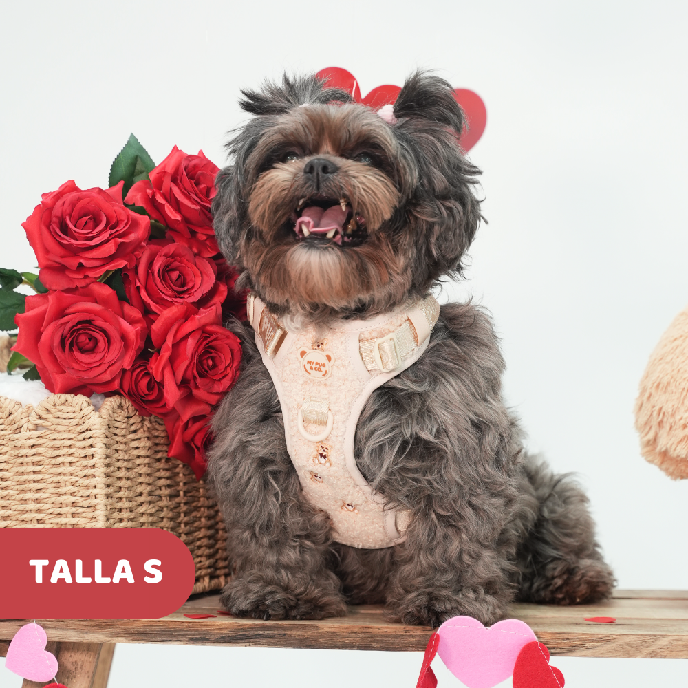 Arnés Todoterreno Teddy