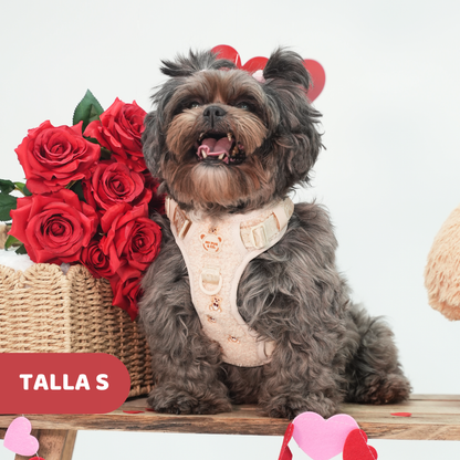 Arnés Todoterreno Teddy