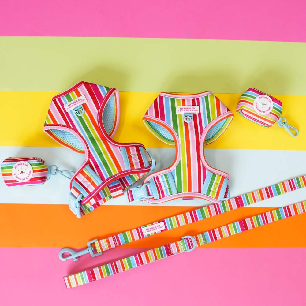 Arnés Ajustable Arcoíris by Agatha Ruiz de la Prada