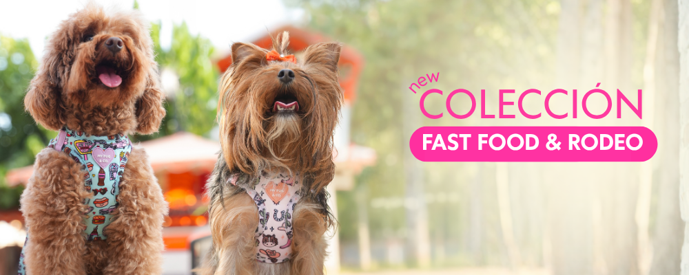 Nueva colección Fast Food & Rodeo: dos perros con arneses estampados