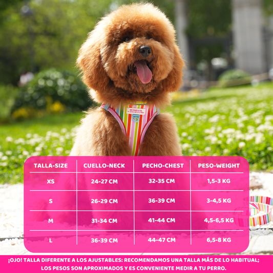 Arnés Body Arcoíris by Agatha Ruiz de la Prada