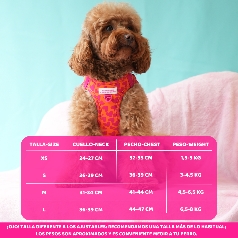 Hearts Harness Step In My Pug & Co by Agatha Ruiz de la Prada