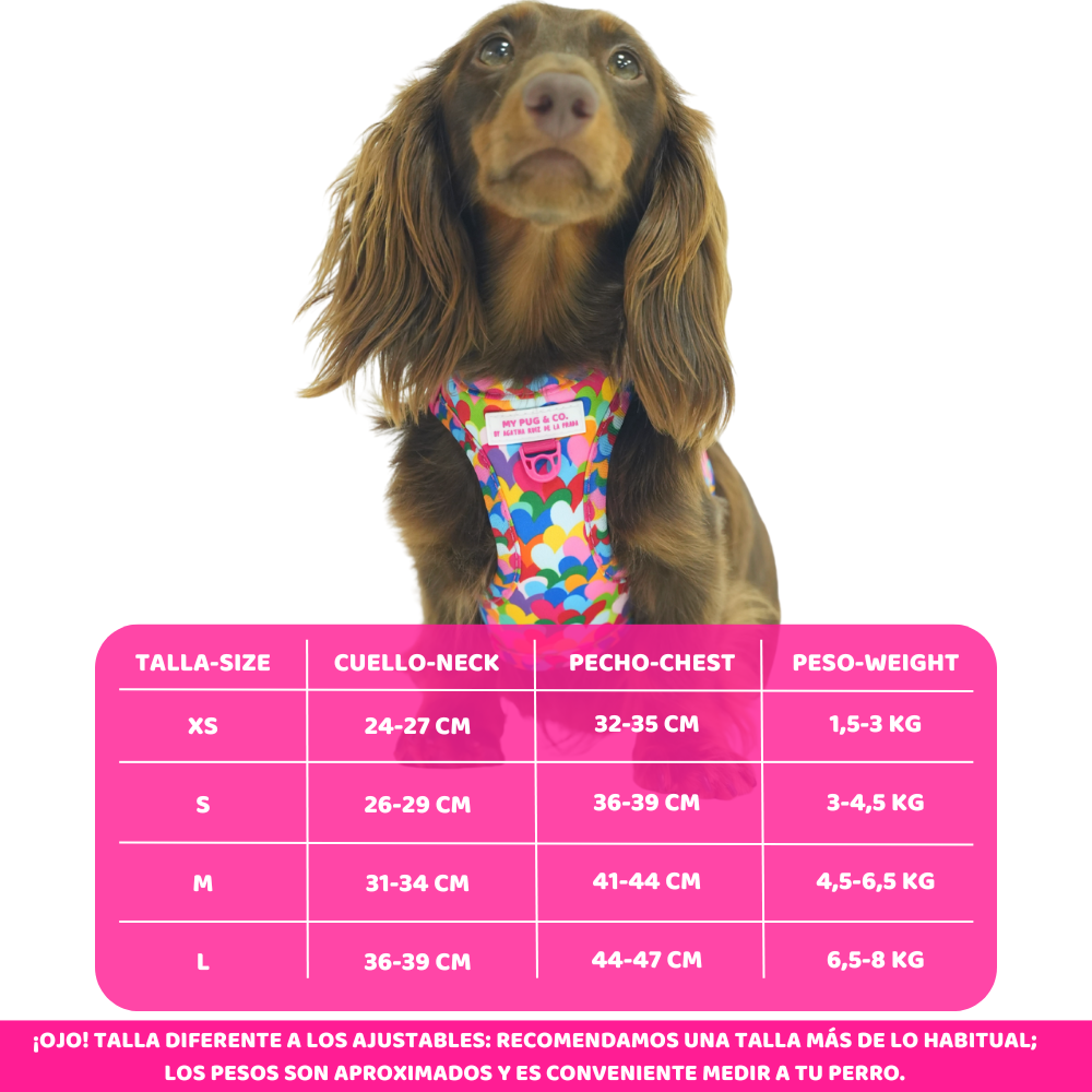 Arnés Body Corazones Pop by Agatha Ruiz de la Prada