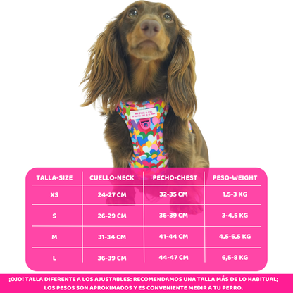 Arnés Body Corazones Pop by Agatha Ruiz de la Prada